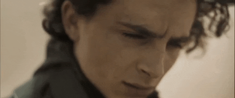 Timothee Chalamet Dune GIF by TIFF - Find & Share on GIPHY