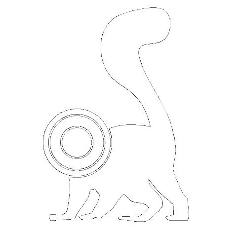 Bounce Squirrel Sticker by Toode Studio