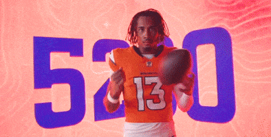 Football Nfl GIF by Broncos