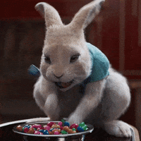Rose Byrne What GIF by Peter Rabbit Movie