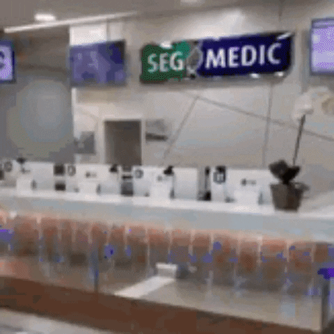 Segmedic GIF