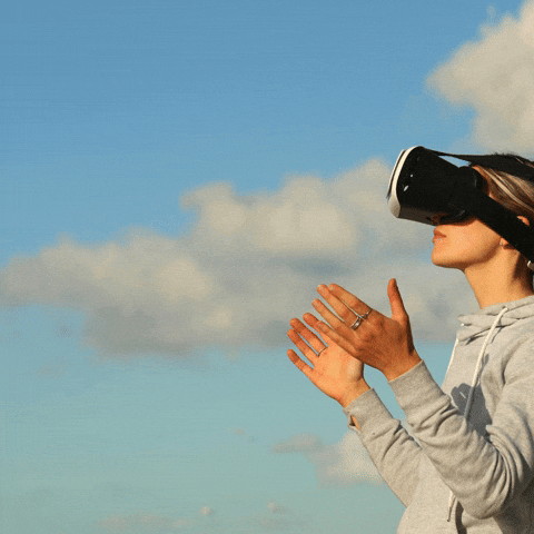 VibeVision GIF