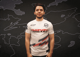 What Happened Whatever GIF by 100 Thieves