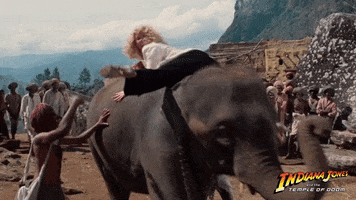 Leaving Indiana Jones And The Temple Of Doom GIF by Indiana Jones