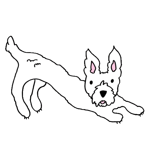 One Down Dog Sticker