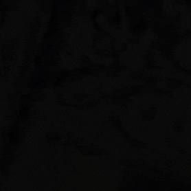 Space GIF