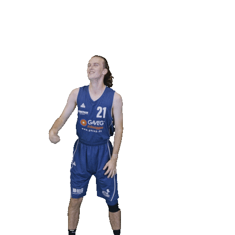 Bensheim Sticker by VfL Basketball