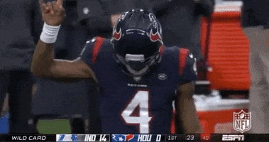 2018 nfl no GIF by NFL