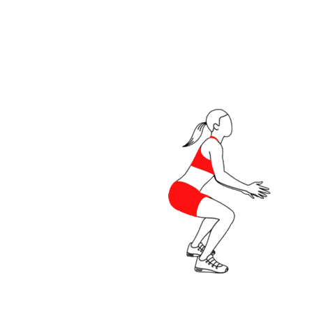 Fitness Squats Sticker