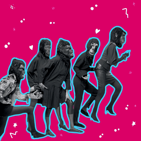 Feminism Feministas GIF