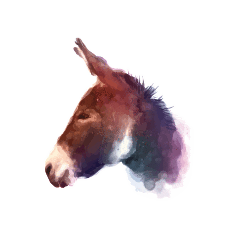 Maurythemule Sticker by Maury Alliance