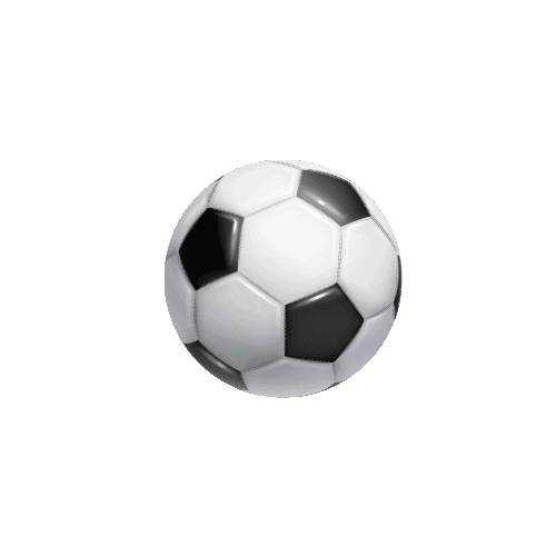 citysport Sticker