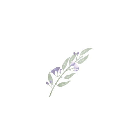 Allied Health Speech Pathology Sticker by LetsGrowTogether