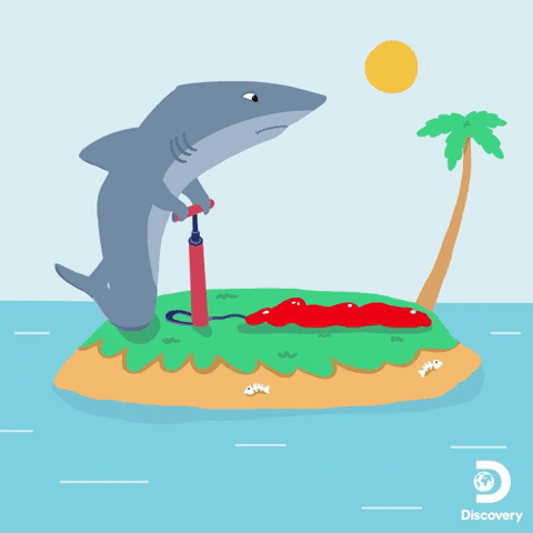 Happy Summer GIF by Shark Week
