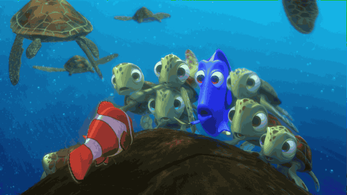 Disney Pixar Dory Gif By Disney Find Share On Giphy