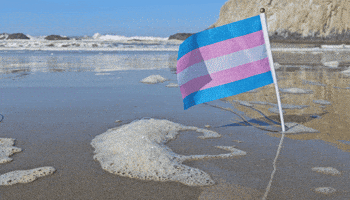 Beach Pride GIF by AceArchive