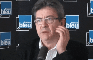 Jean Luc Melenchon Grimace GIF by franceinfo