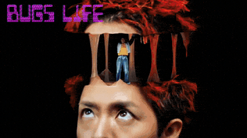Bug Numberi GIF
