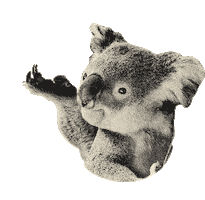 Lulo Eating Sticker by Hey!Koala
