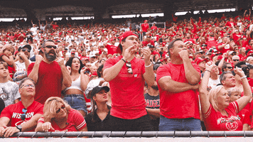 Football Celebration GIF by Wisconsin Badgers