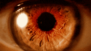 Bloody Eye GIFs - Get the best GIF on GIPHY
