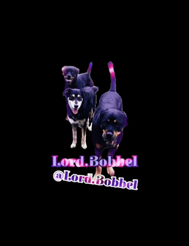 Dog GIF