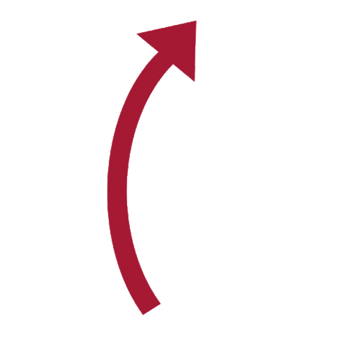 Favitest Sticker by FAVI