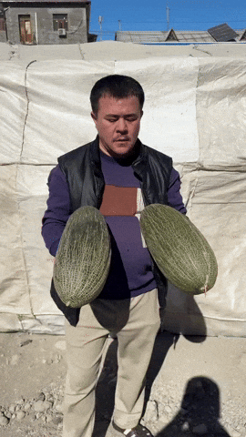 Reklama GIF