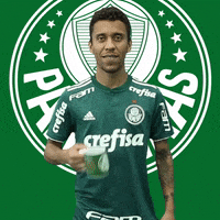 Brasil-football-club GIFs - Get the best GIF on GIPHY