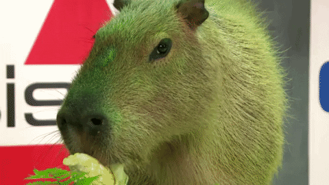 Hora da Final! | capybara GIF by Puppy Bowl
