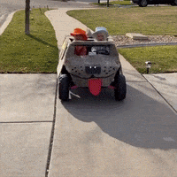 Dumb And Dumber Halloween GIF by Storyful