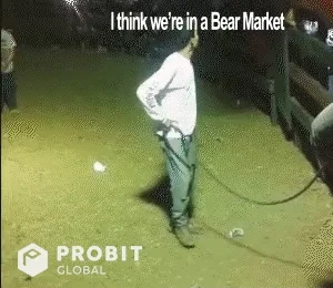 Bear Invest GIF