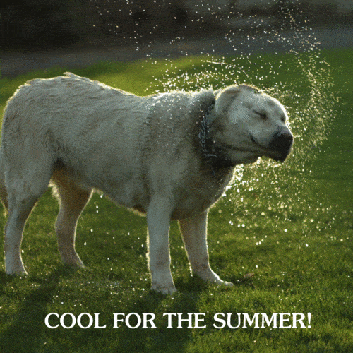 Cool For The Summer GIF by Taste of the Wild