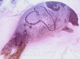 Heart Snow GIF
