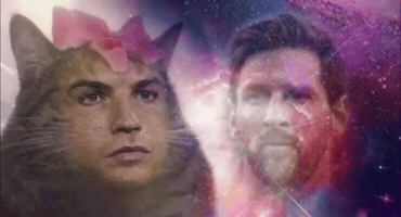 Cat Argentina GIF