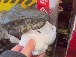 Bite GIF
