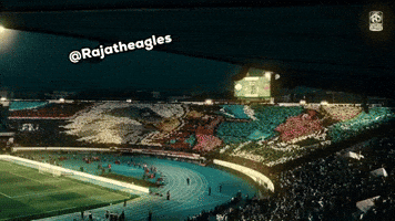 Raja Casablanca Eagles GIF