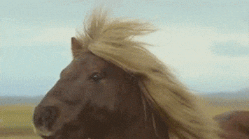 [Image: 200.gif]