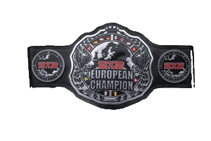 Championship Europa Sticker by wXw Wrestling