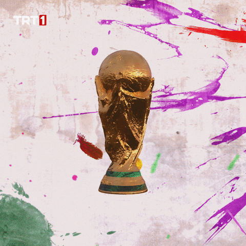 World Cup Futbol GIF by TRT