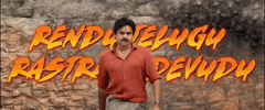 Rendu Pawan Kalyan GIF by Sharat overseas distribution