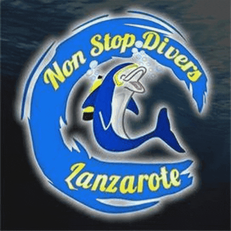 nonstopdivers GIF