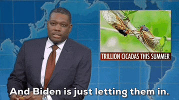 Snl Cicadas GIF by Saturday Night Live