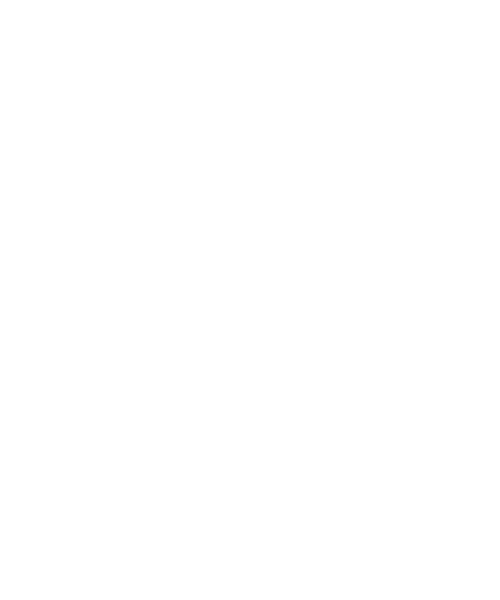 Audimas Sticker
