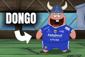 Persib Bandung Jakarta GIF