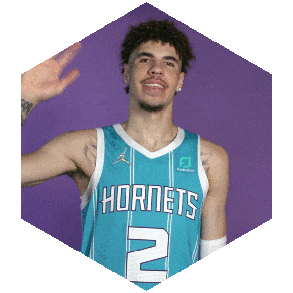 Happy Lamelo Ball Sticker by Charlotte for iOS & Android GIPHY