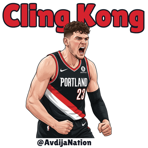 Rip City Nba GIF
