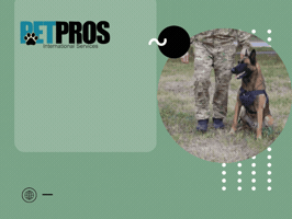 Professional Pet Services GIF