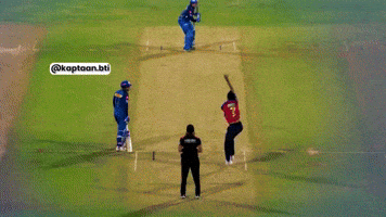 Punjab Kings GIF