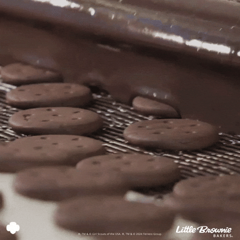 GIF by Little Brownie Bakers